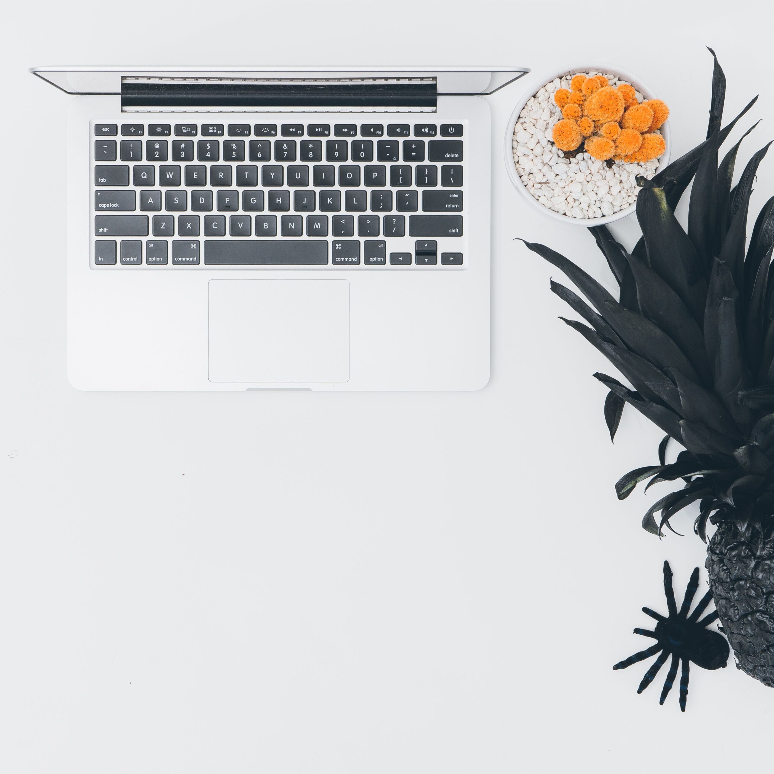 Modern minimalistic desk setup featuring a laptop, pot plant, black pineapple, and decorative spider.